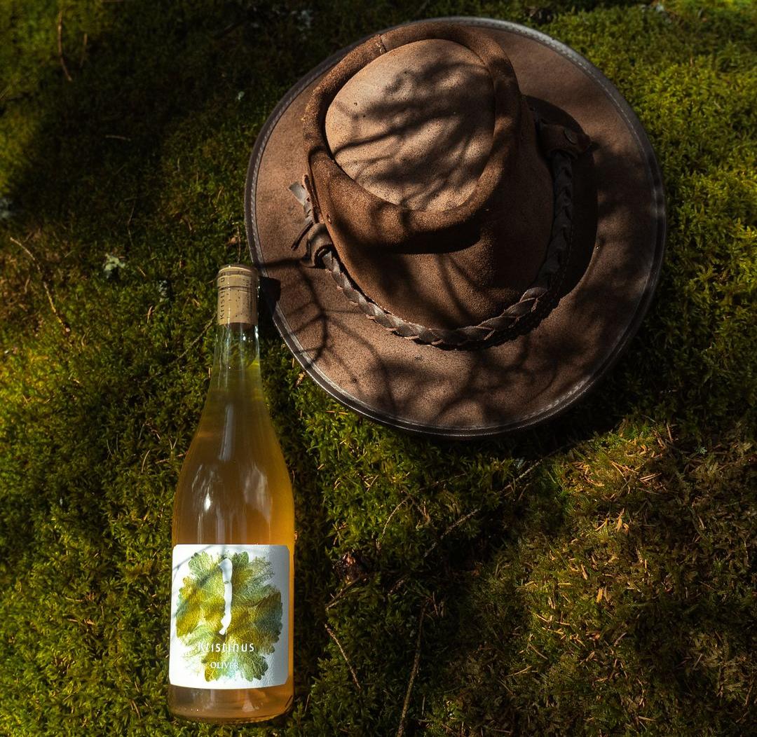 Vins bio, biodynamie et vegan
