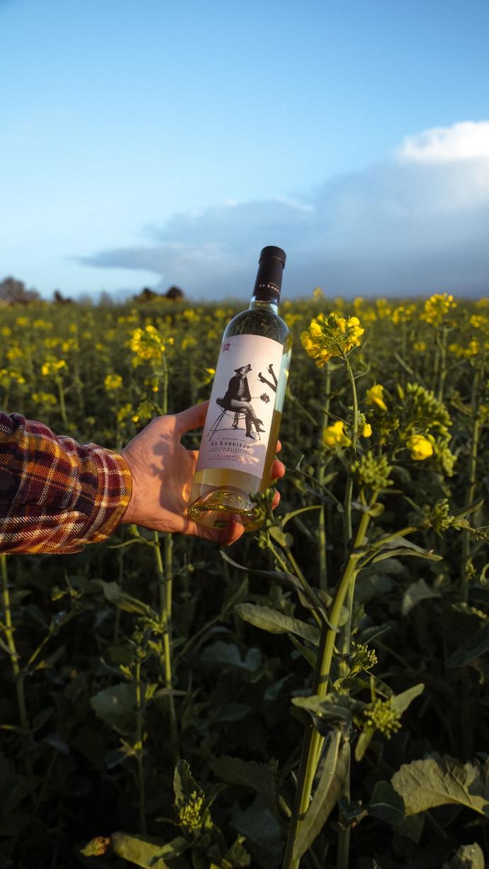 Vin blanc biodynamie